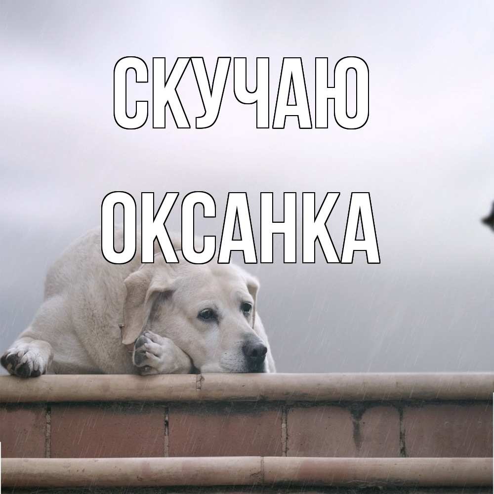 Открытка  с именем. Оксанка, Скучаю  