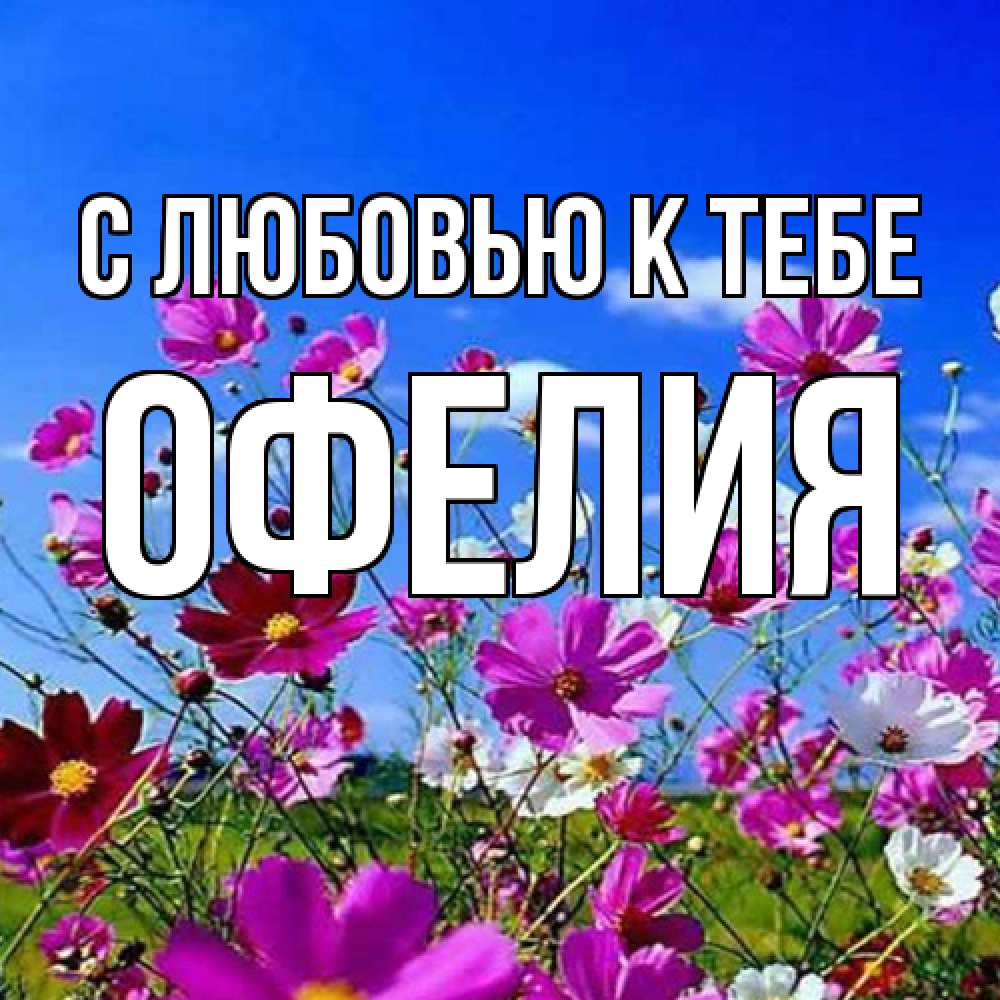 Открытка  с именем. Офелия, С любовью к тебе  