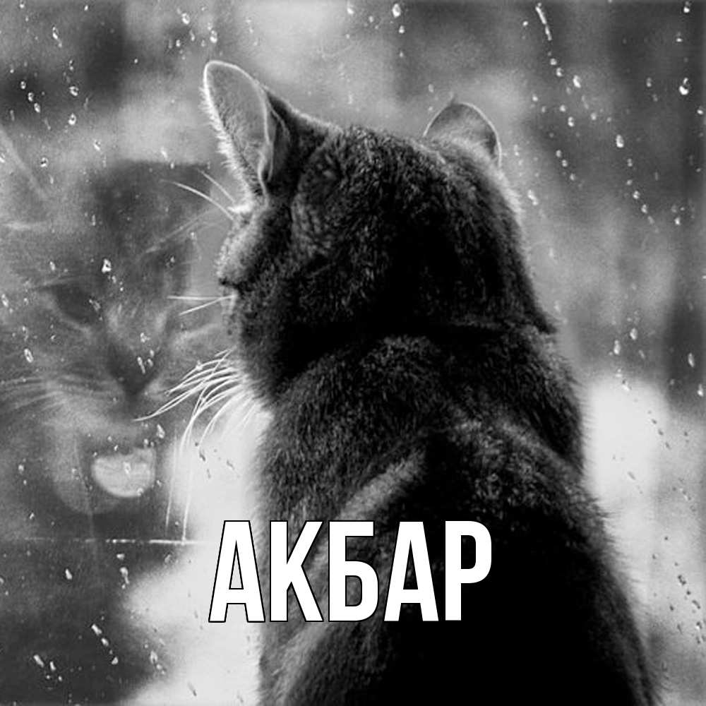 Открытка  с именем. Акбар, Главная  