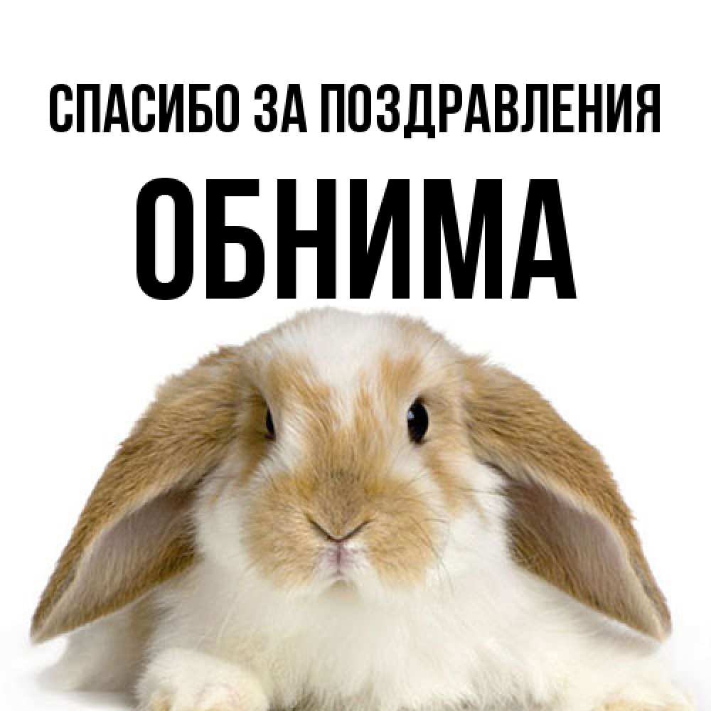 Открытка  с именем. Обнима, Спасибо за поздравления  