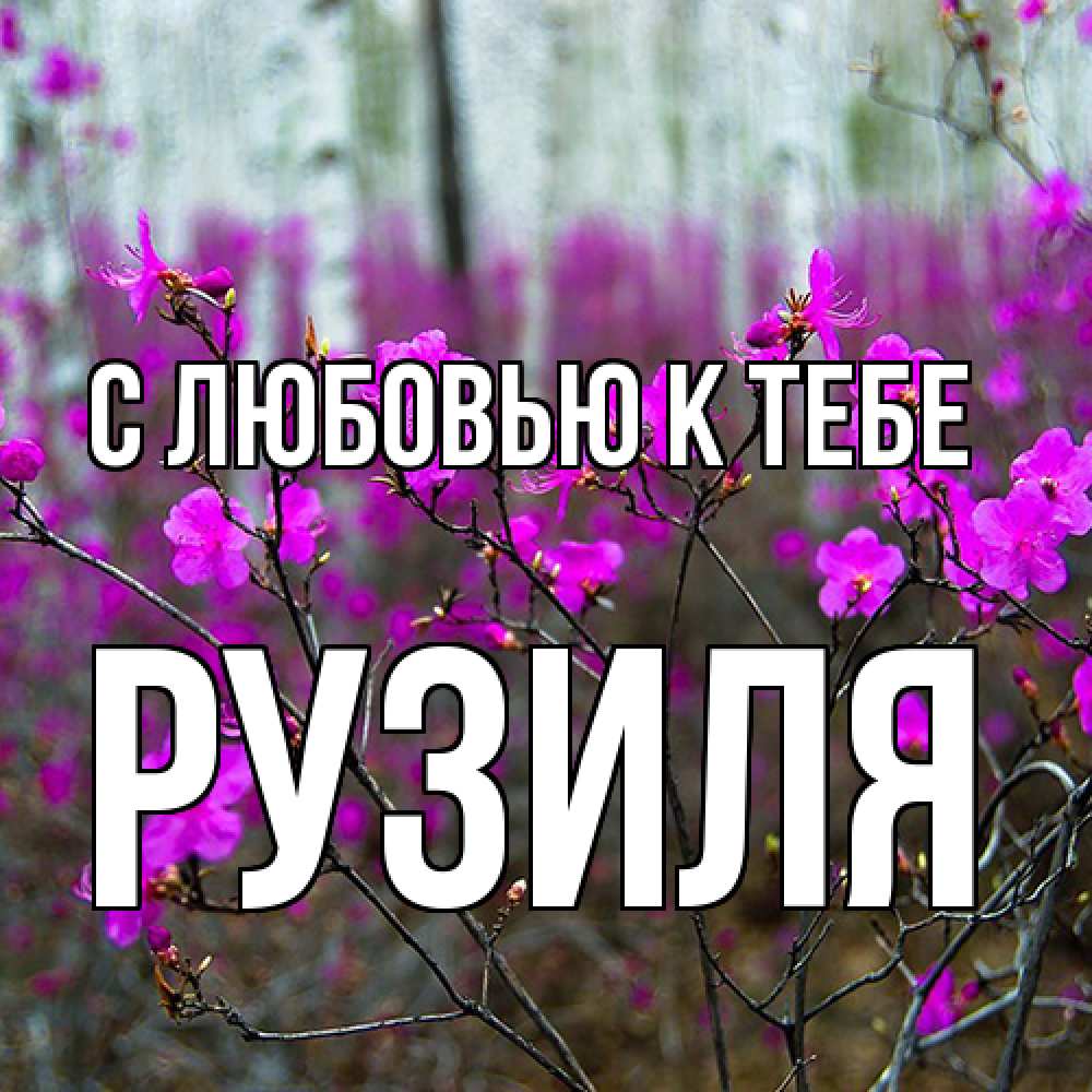 Открытка  с именем. Рузиля, С любовью к тебе  