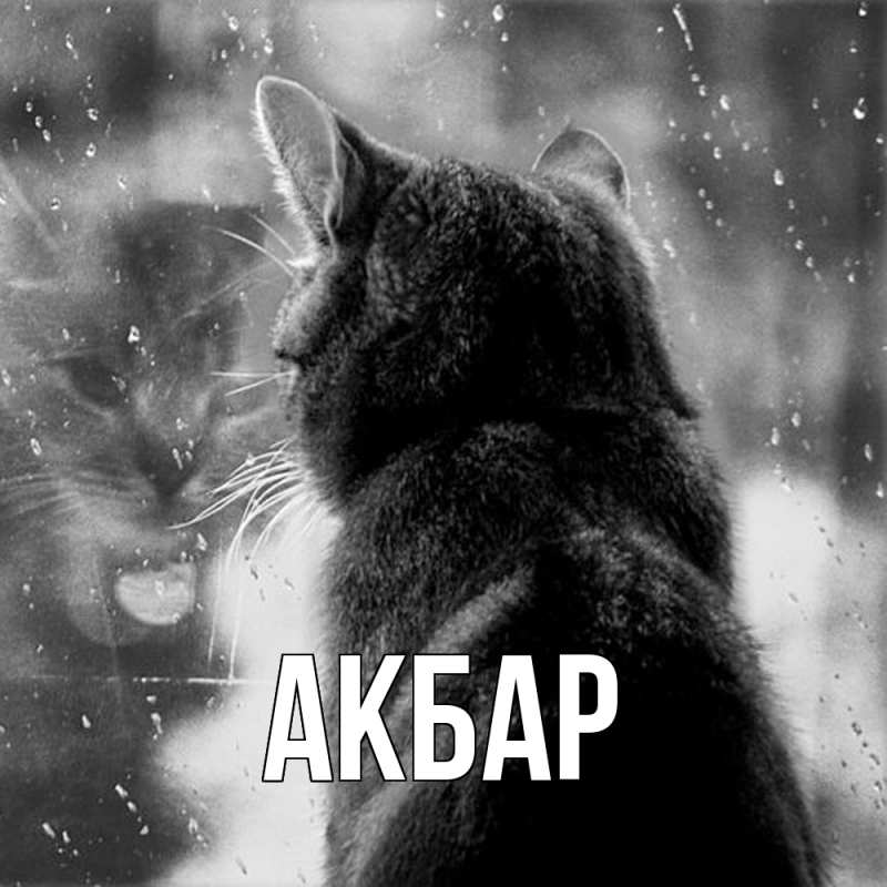 Картинка  с именем , Акбар