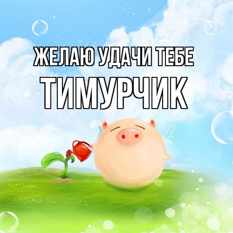 Картинка Желаю удачи тебе, Тимурчик