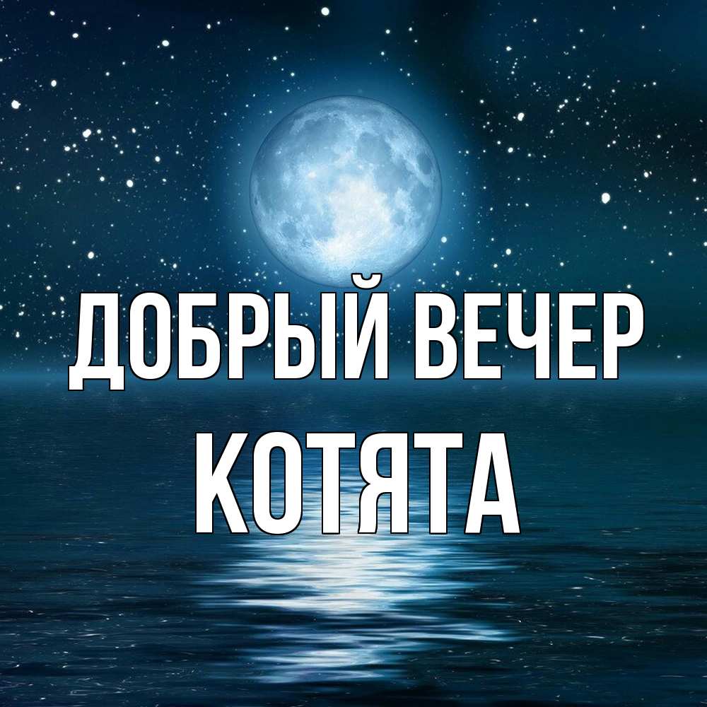Открытка  с именем. Котята, Добрый вечер  