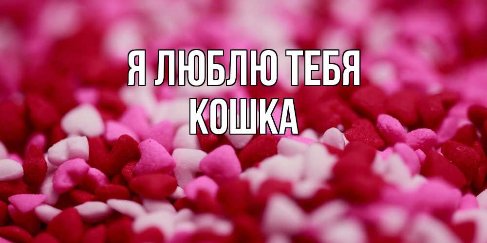 Открытка  с именем. Кошка, Я люблю тебя  