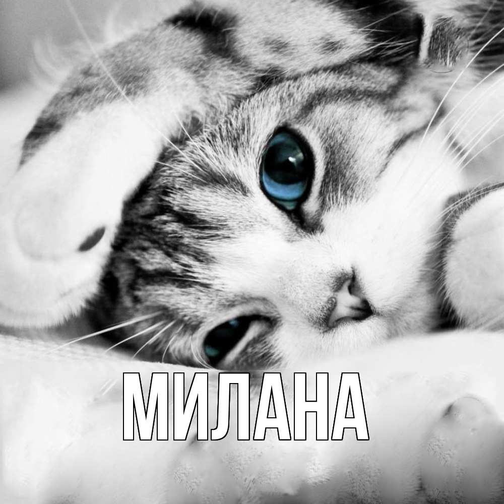 Открытка  с именем. Милана, Главная  