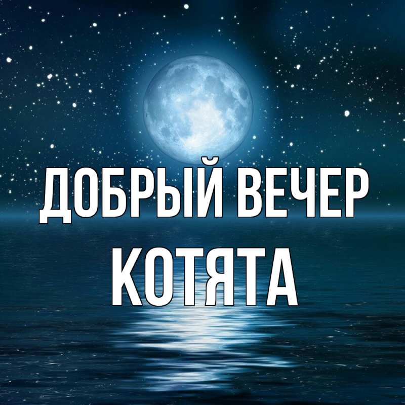 Картинка Добрый вечер, Котята