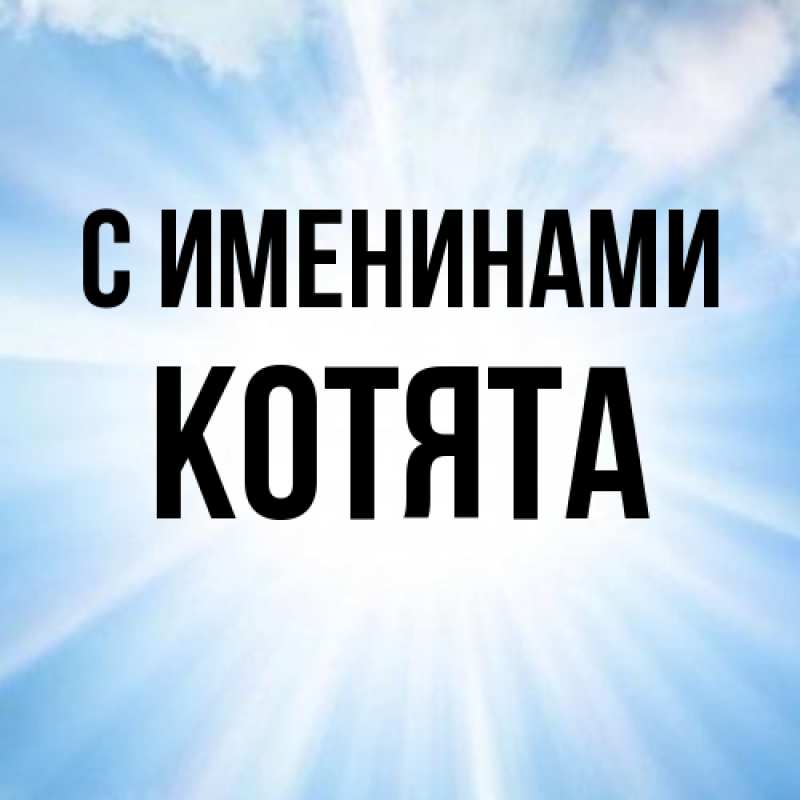 Картинка С именинами, Котята