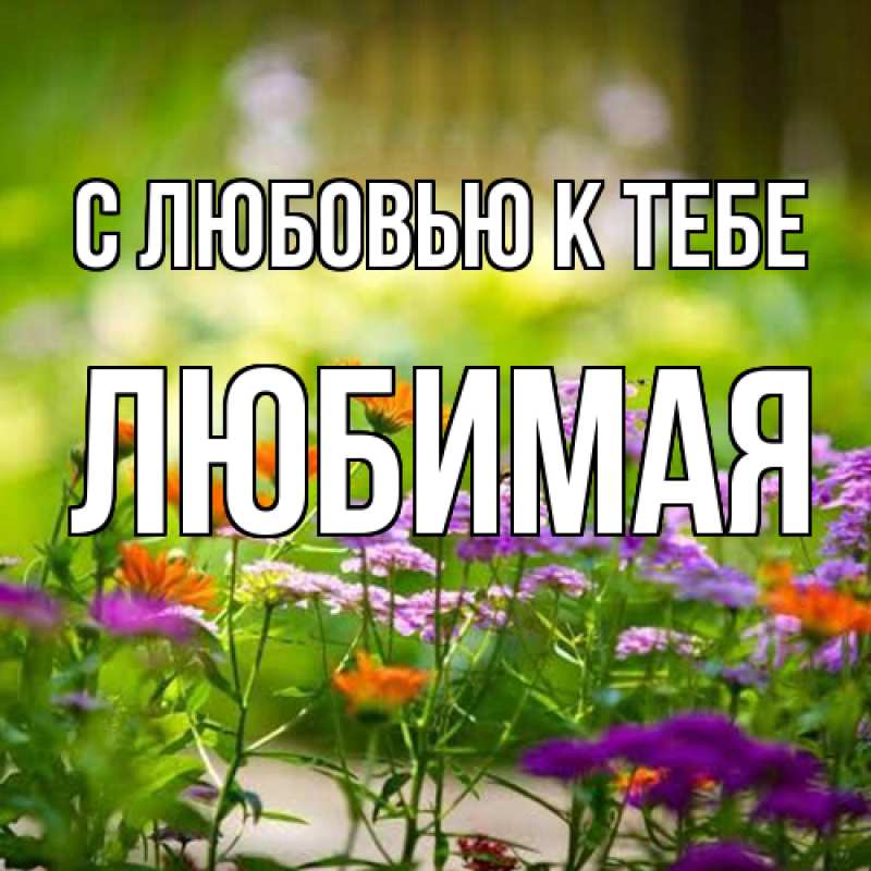Картинка С любовью к тебе, Любимая