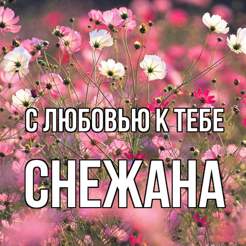 Открытка  с именем. Снежана, С любовью к тебе  