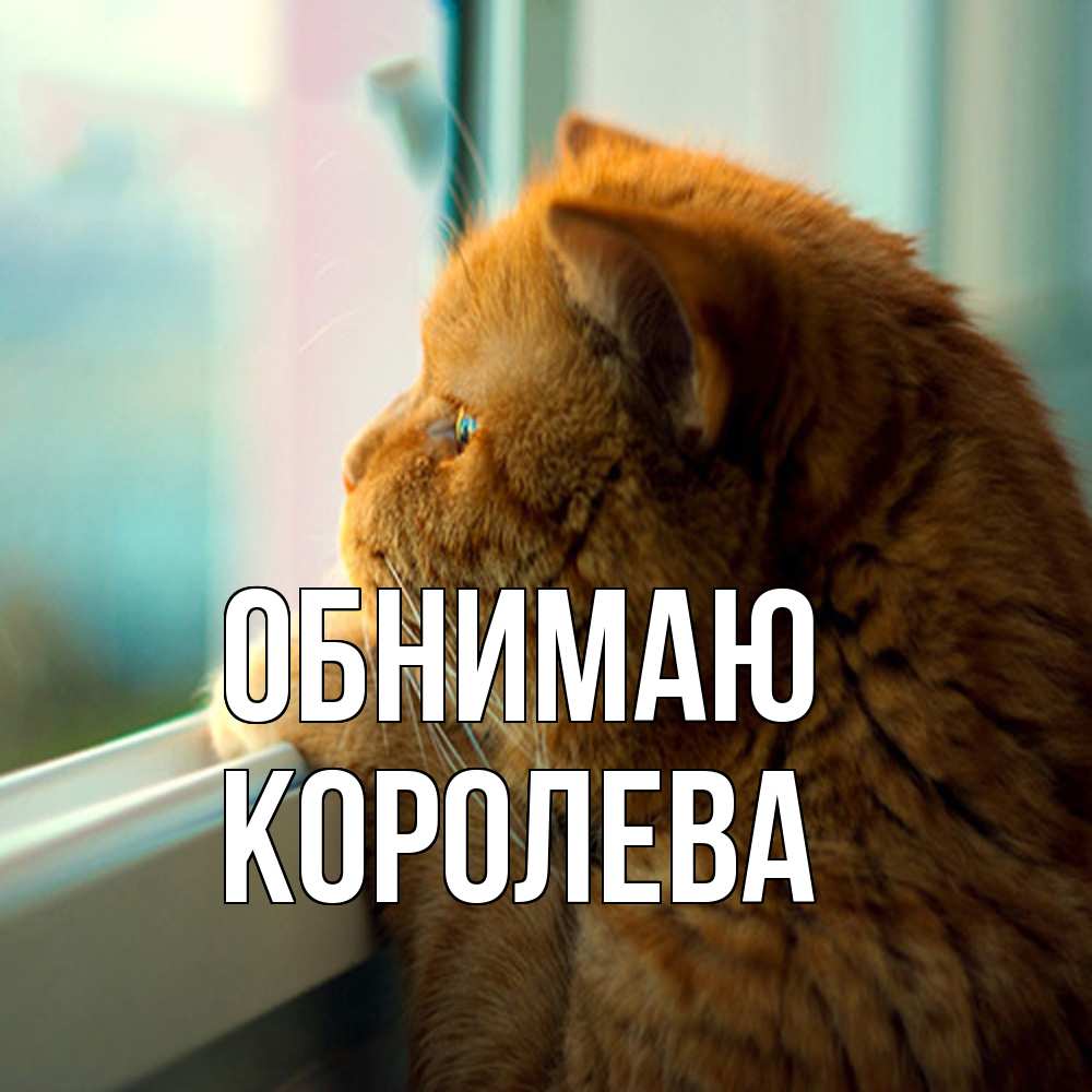 Открытка  с именем. Королева, Обнимаю  