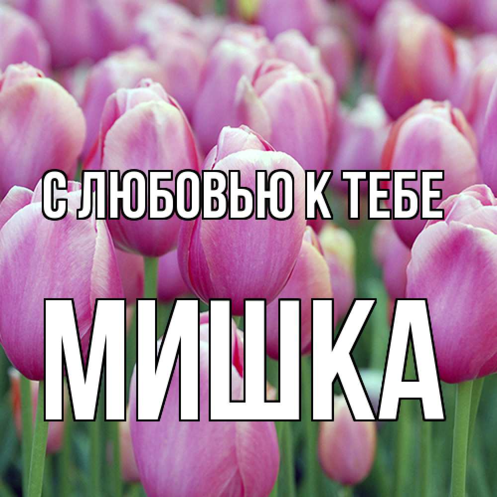 Открытка  с именем. Мишка, С любовью к тебе  
