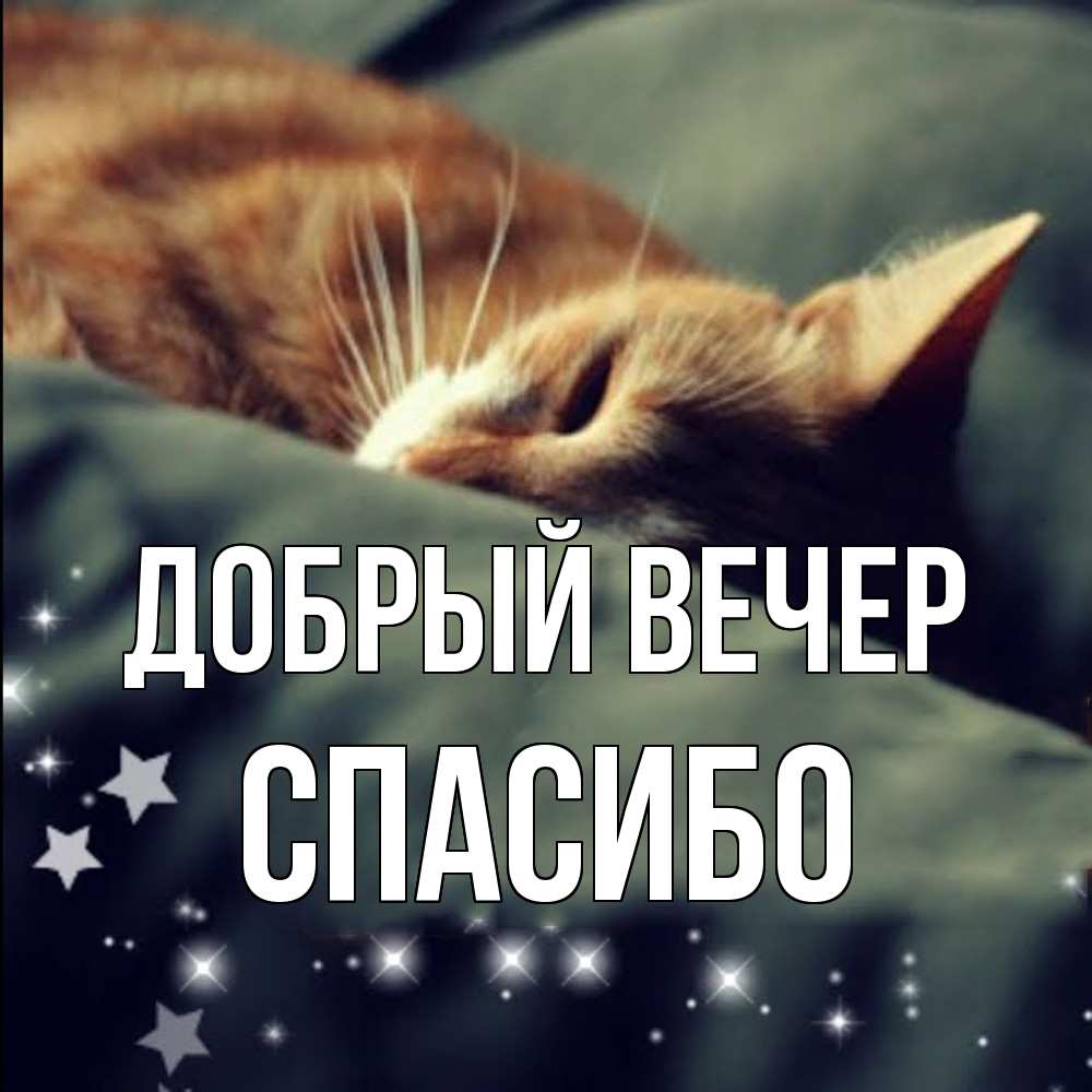 Открытка  с именем. СПАСИБО, Добрый вечер  