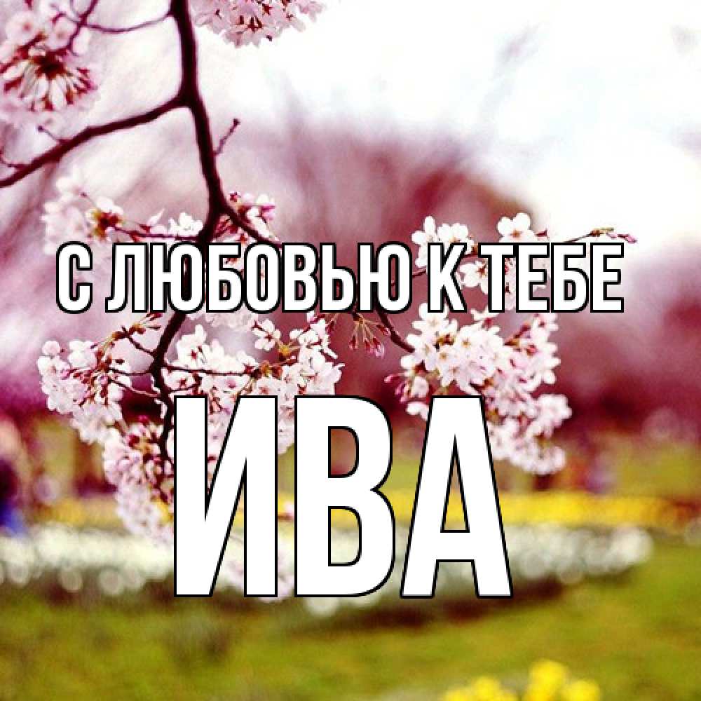 Открытка  с именем. Ива, С любовью к тебе  