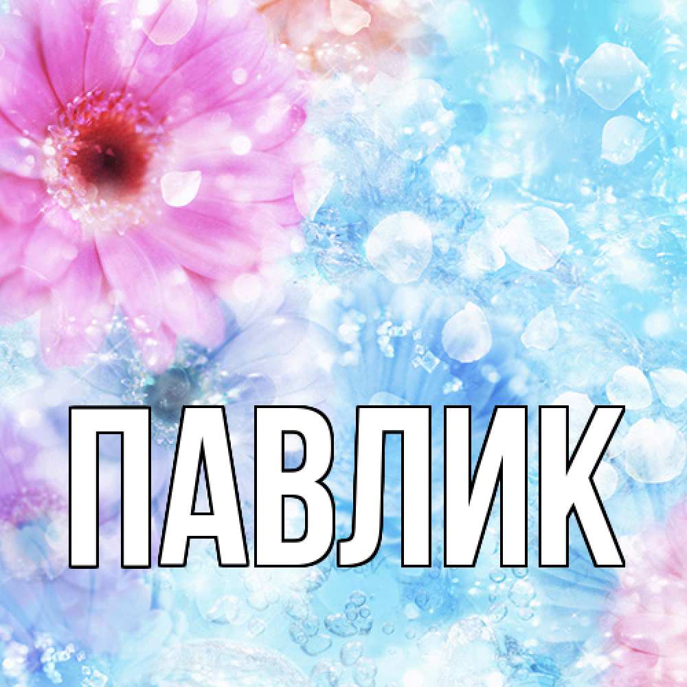Открытка  с именем. Павлик, Главная  