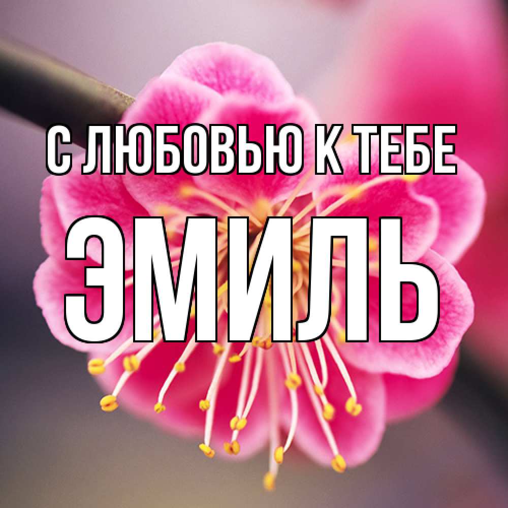 Открытка  с именем. Эмиль, С любовью к тебе  