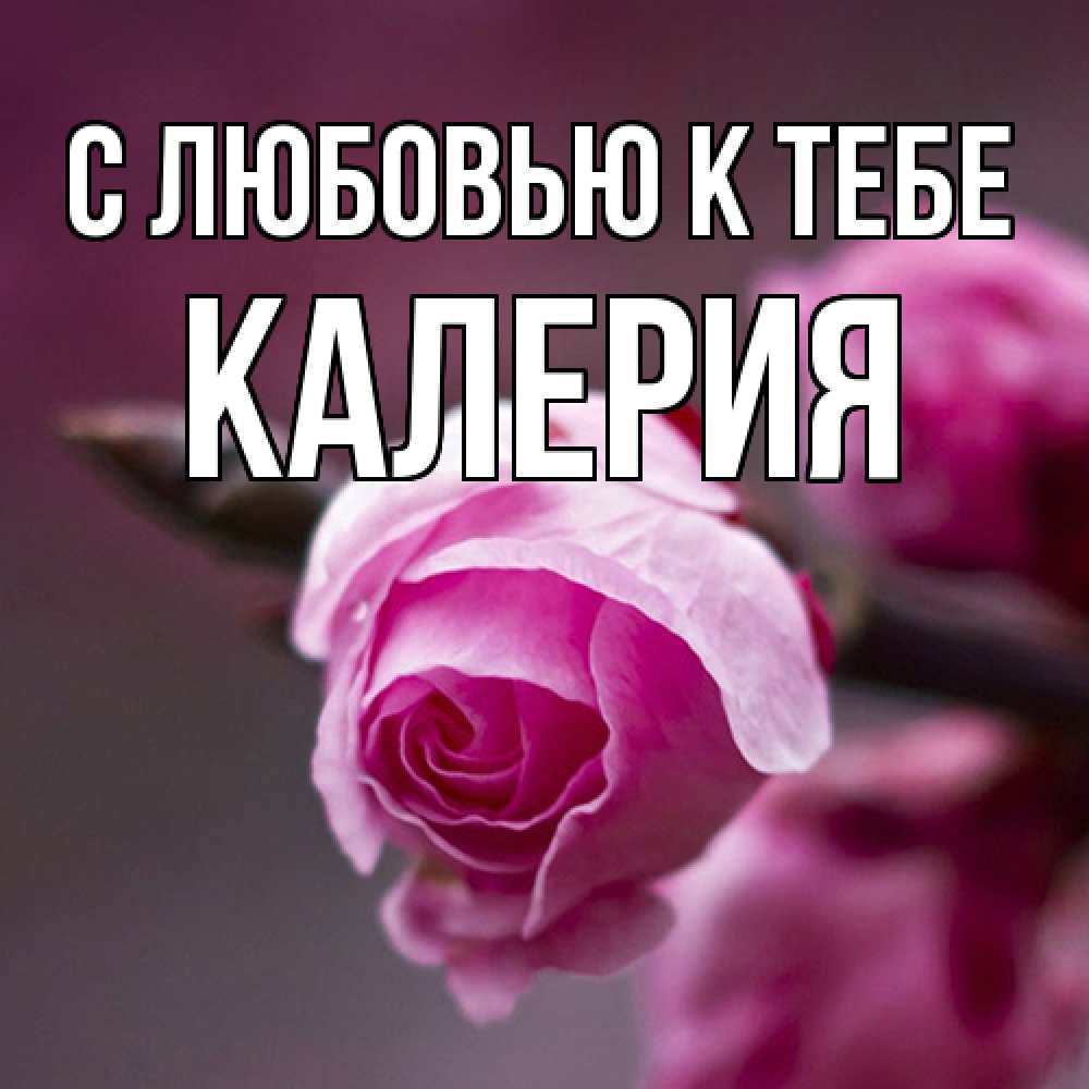 Открытка  с именем. Калерия, С любовью к тебе  