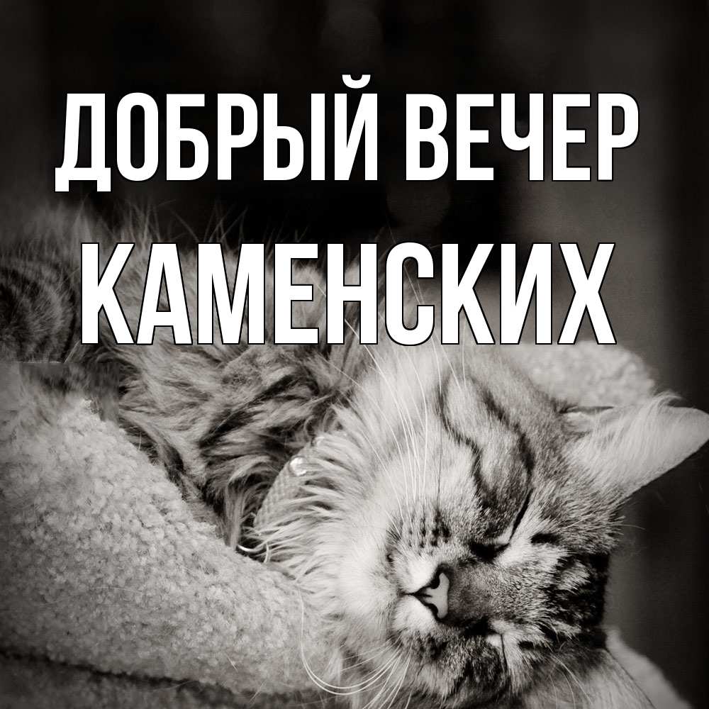 Открытка  с именем. Каменских, Добрый вечер  
