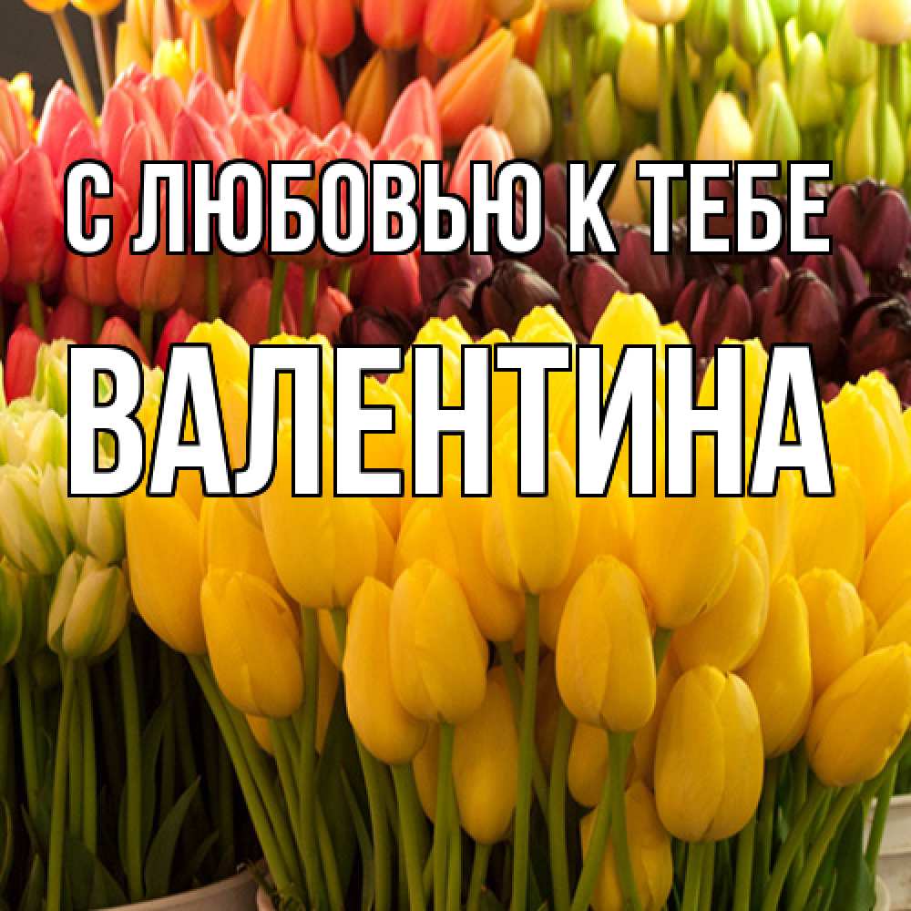 Открытка  с именем. валентина, С любовью к тебе  