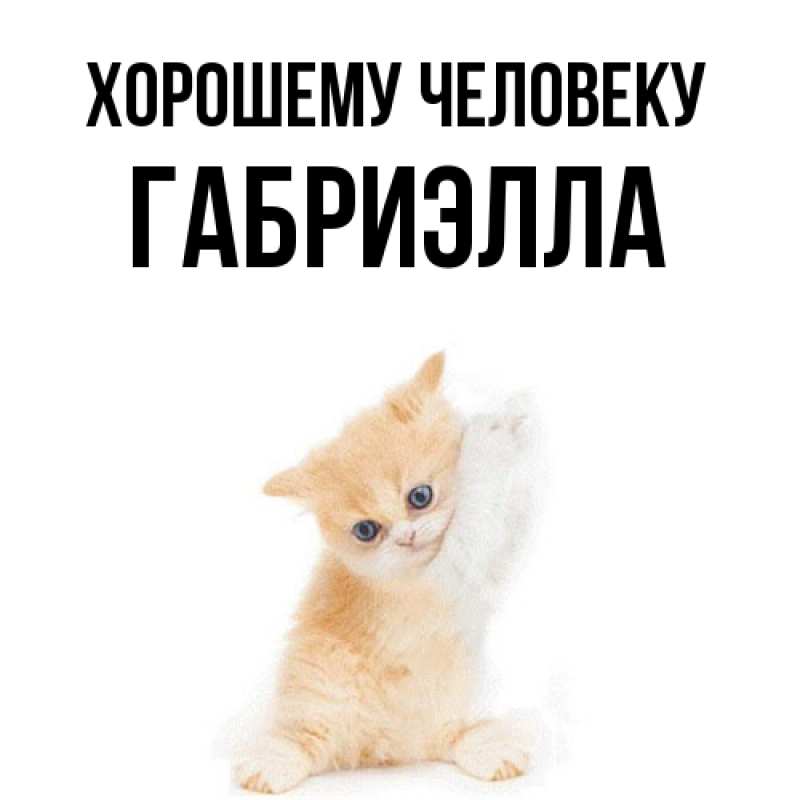 Картинка Хорошему человеку, Габриэлла