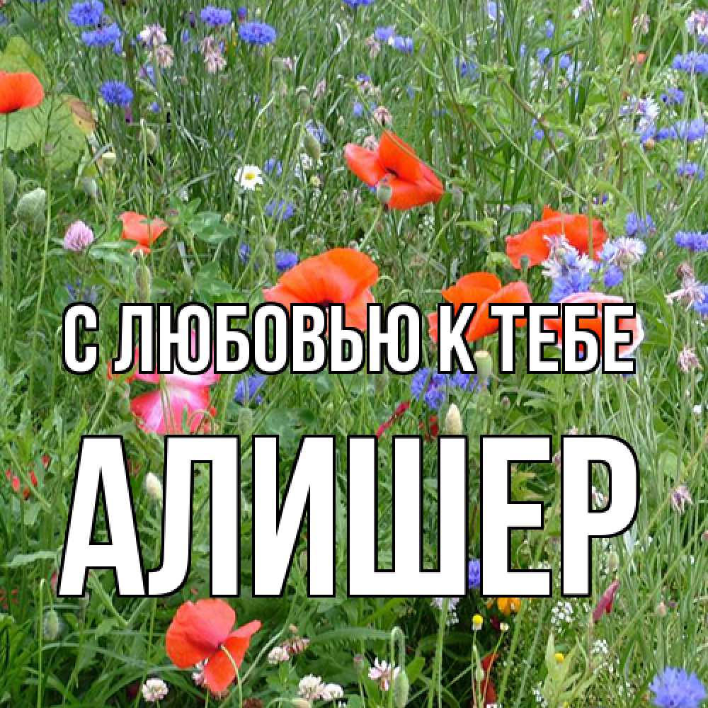 Открытка  с именем. Алишер, С любовью к тебе  