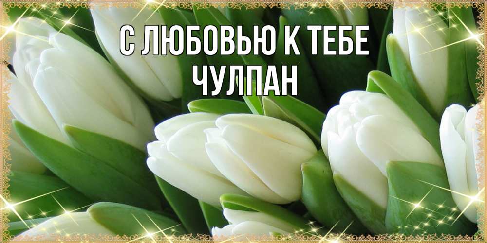 Открытка  с именем. Чулпан, С любовью к тебе  