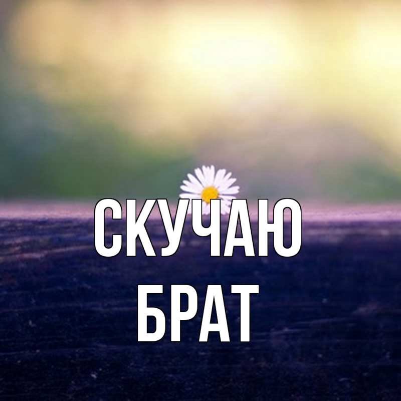 Картинка Скучаю, Брат