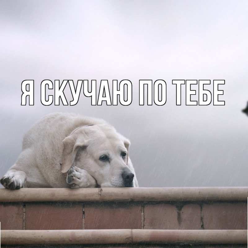 Картинка Я скучаю по тебе, 