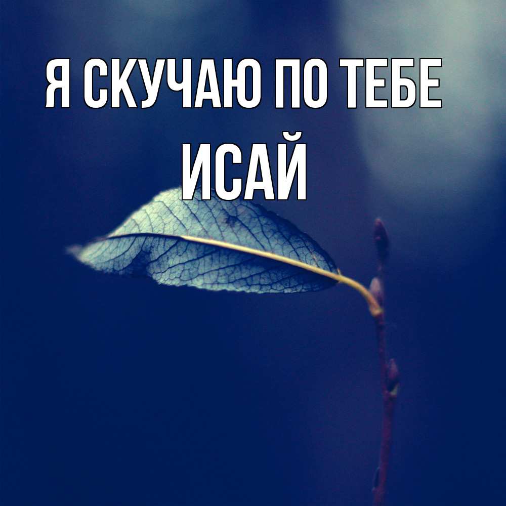 Открытка  с именем. Исай, Я скучаю по тебе  