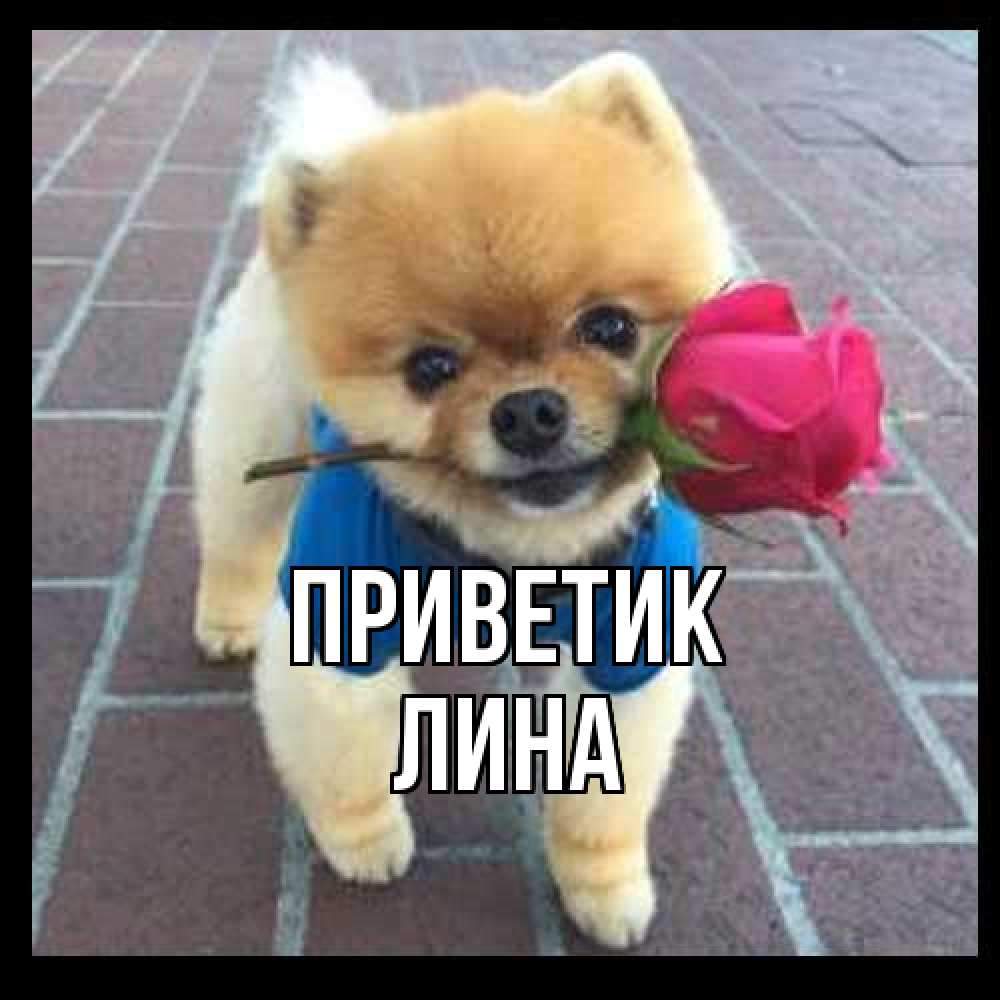 Открытка  с именем. Лина, приветик  