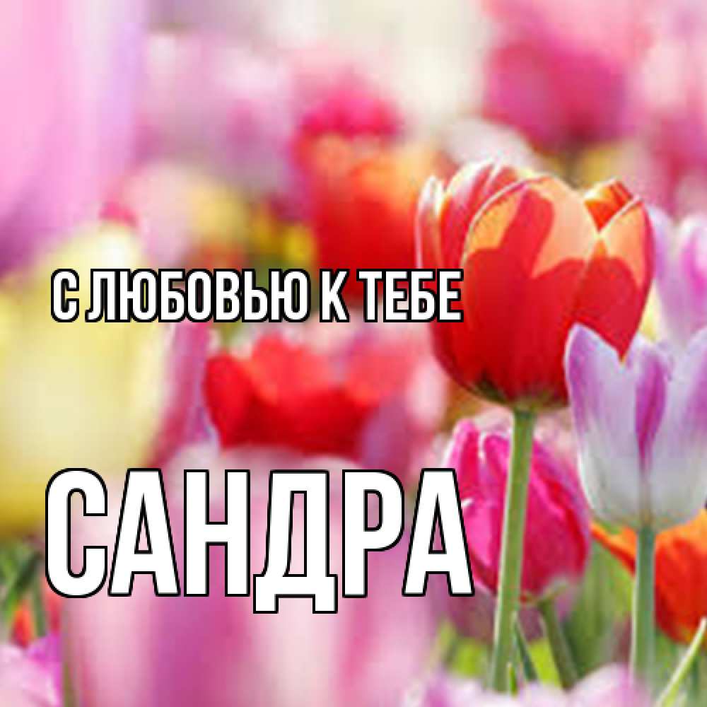 Открытка  с именем. Сандра, С любовью к тебе  