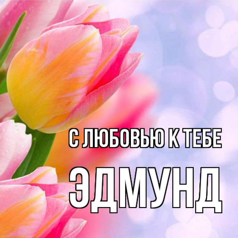 Картинка С любовью к тебе, Эдмунд