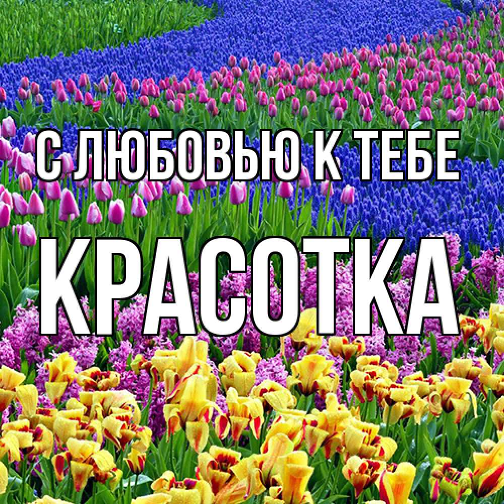 Открытка  с именем. Красотка, С любовью к тебе  