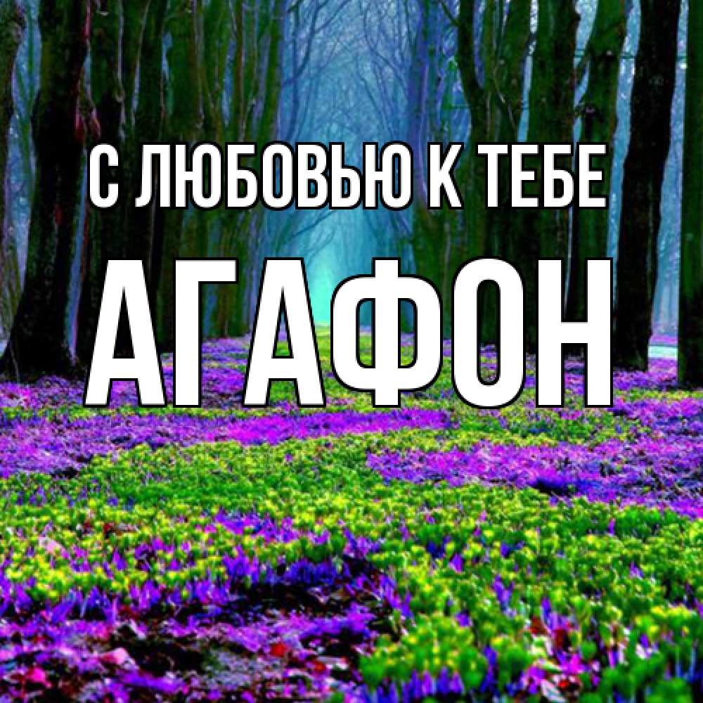 Открытка  с именем. Агафон, С любовью к тебе  