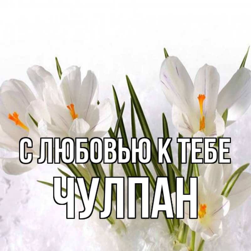 Картинка С любовью к тебе, Чулпан