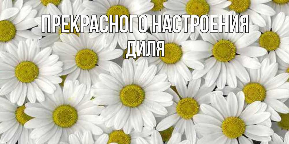 Открытка  с именем. Диля, Прекрасного настроения  