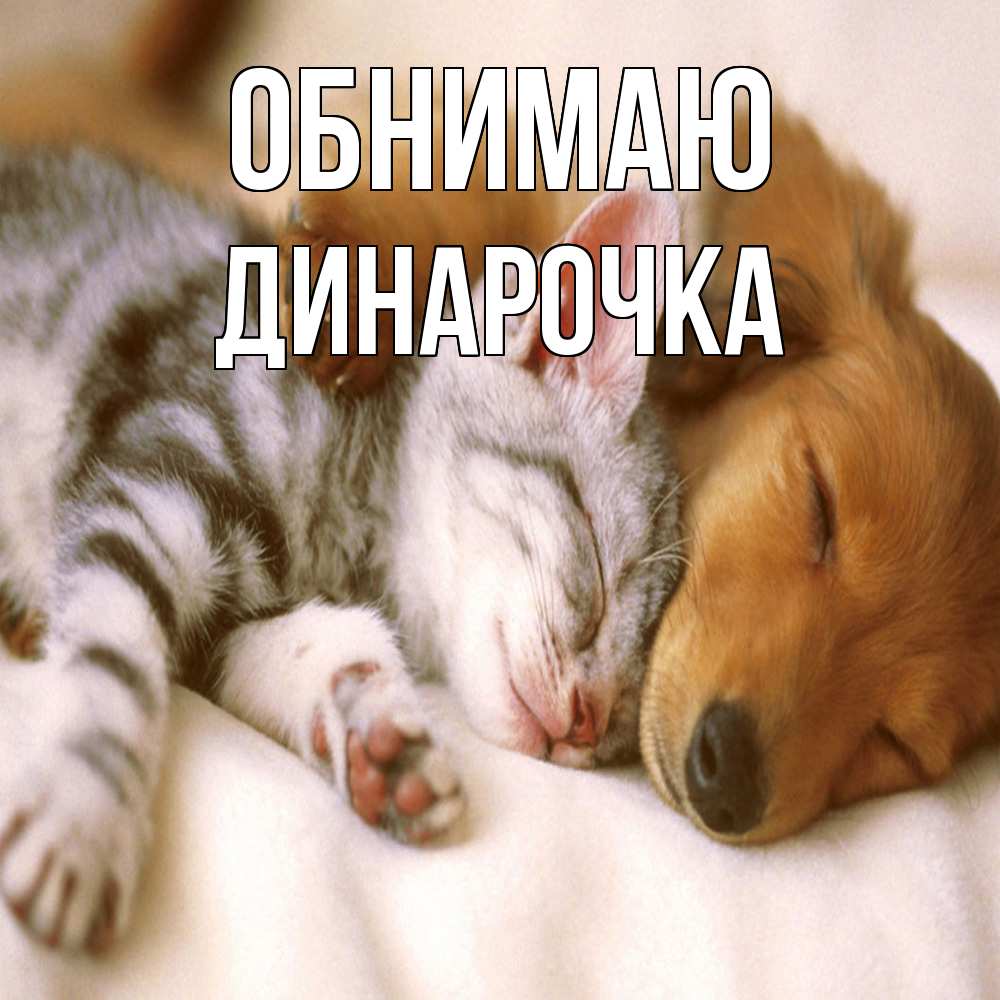 Открытка  с именем. Динарочка, Обнимаю  