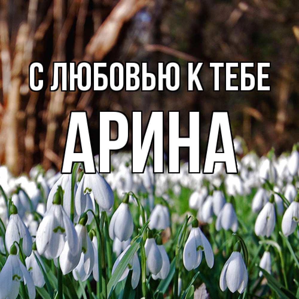 Открытка  с именем. Арина, С любовью к тебе  
