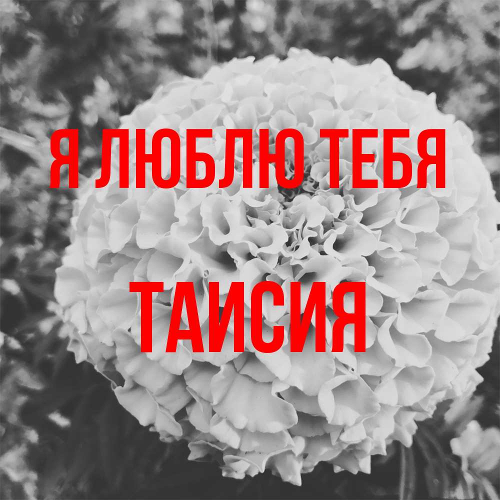 Открытка  с именем. Таисия, Я люблю тебя  