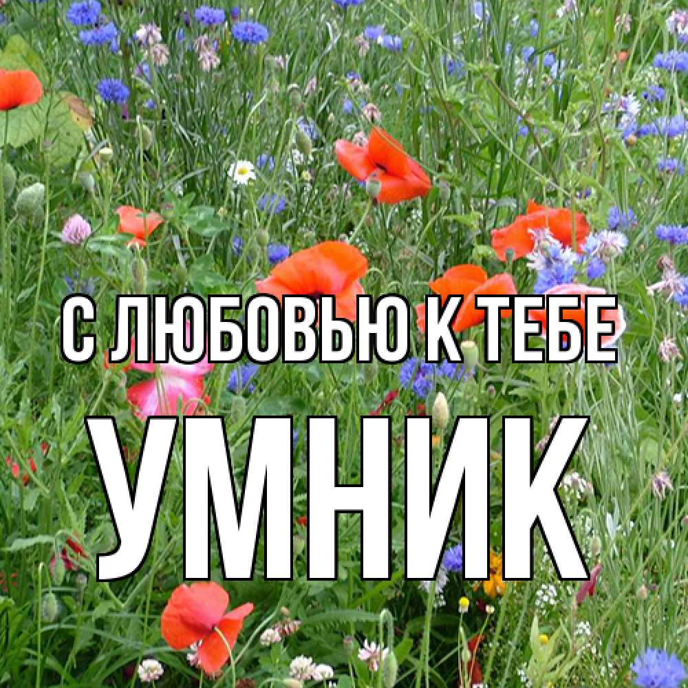 Открытка  с именем. Умник, С любовью к тебе  