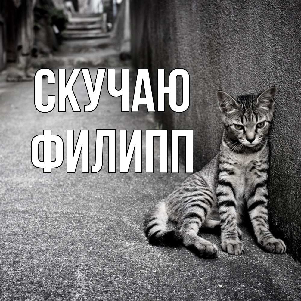 Открытка  с именем. Филипп, Скучаю  