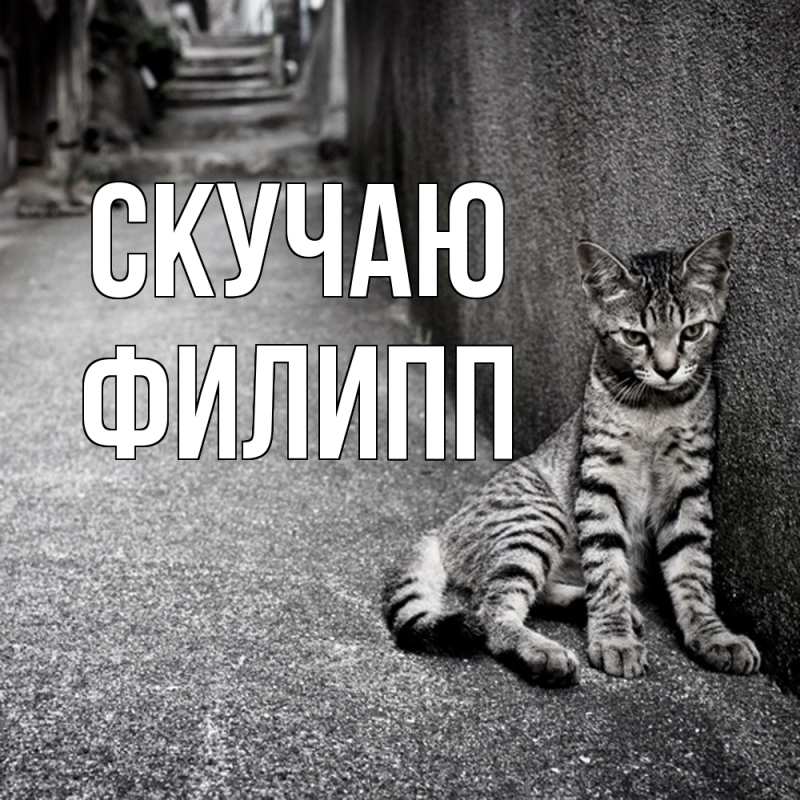 Картинка Скучаю, Филипп