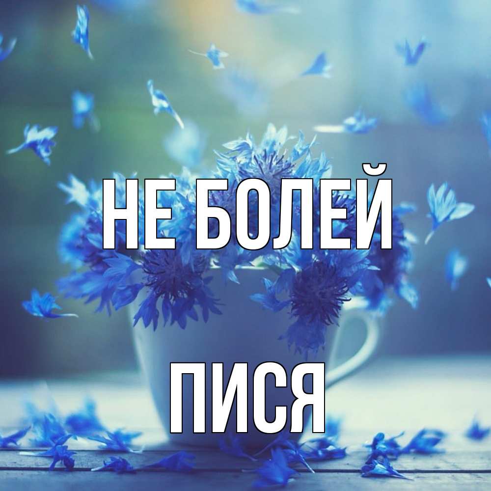 Открытка  с именем. пися, Не болей  