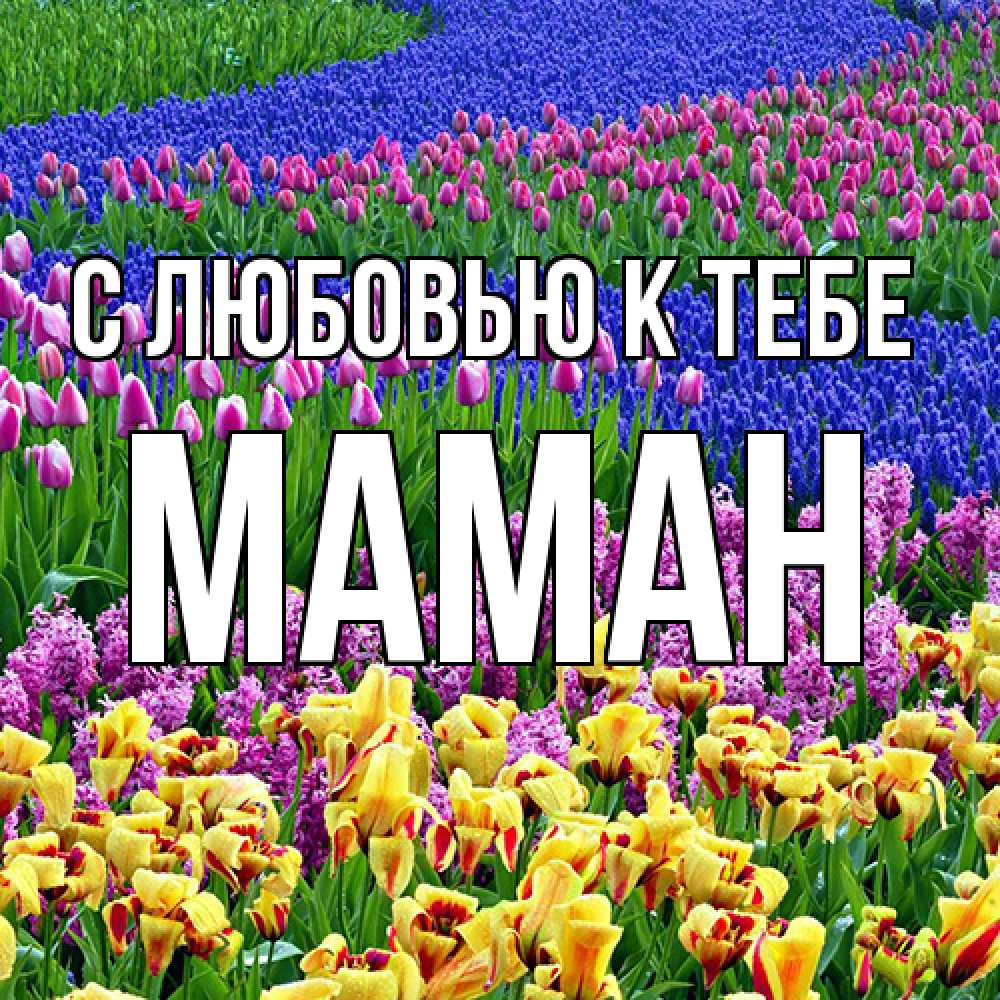 Открытка  с именем. Маман, С любовью к тебе  