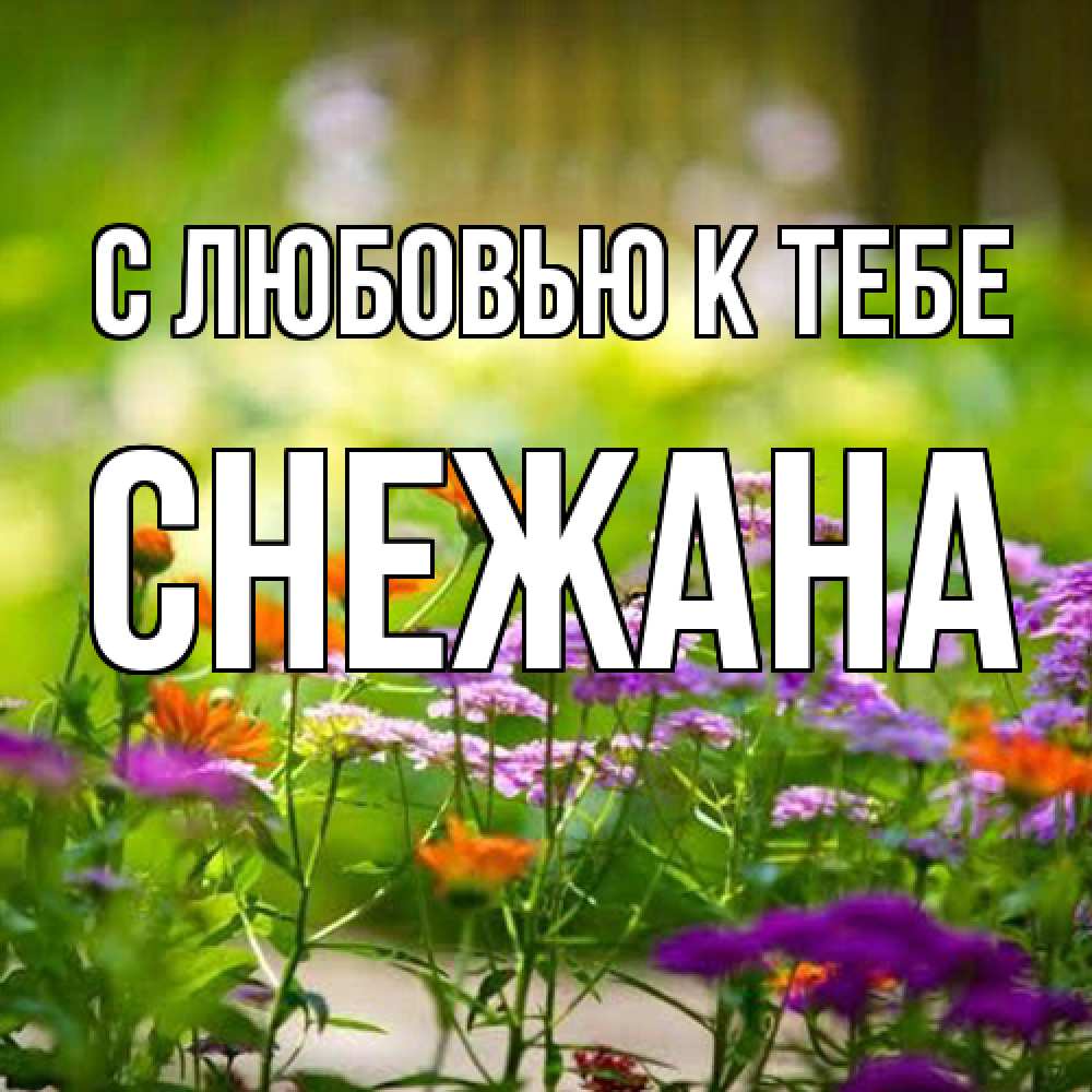 Открытка  с именем. Снежана, С любовью к тебе  