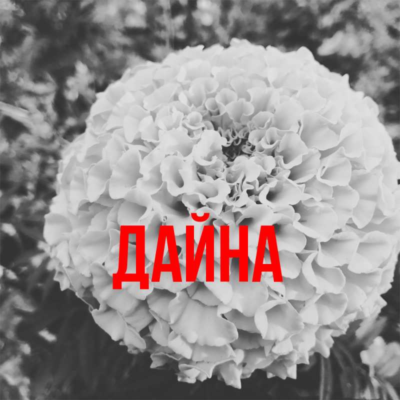 Картинка  с именем , Дайна