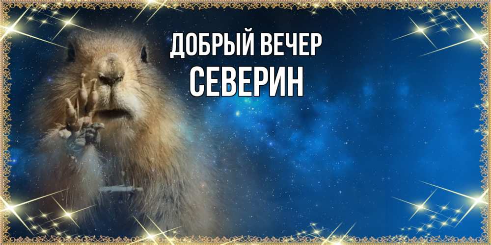Открытка  с именем. Северин, Добрый вечер  