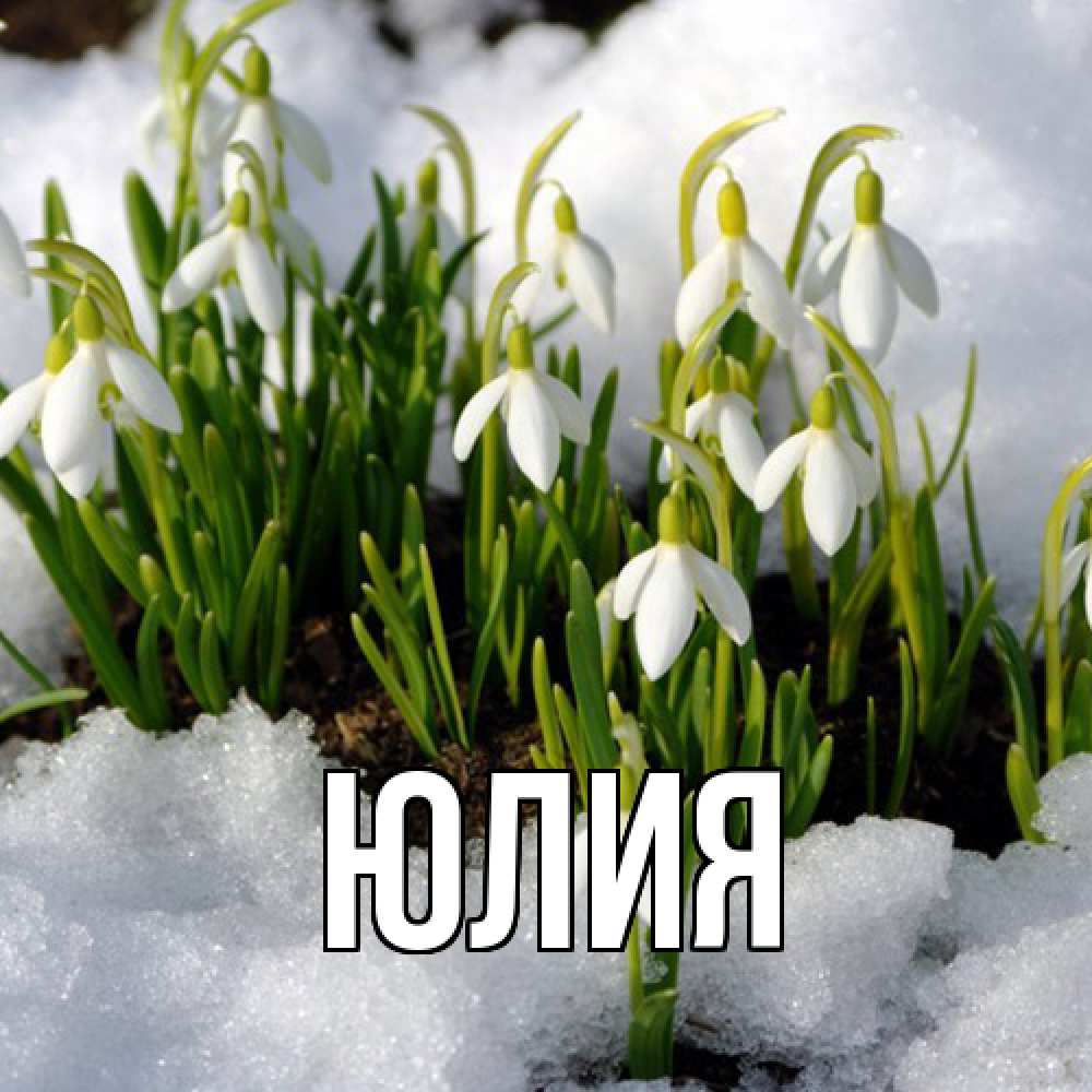 Открытка  с именем. Юлия, Главная  