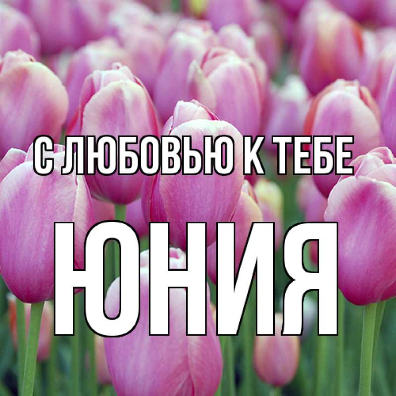 Картинка С любовью к тебе, Юния