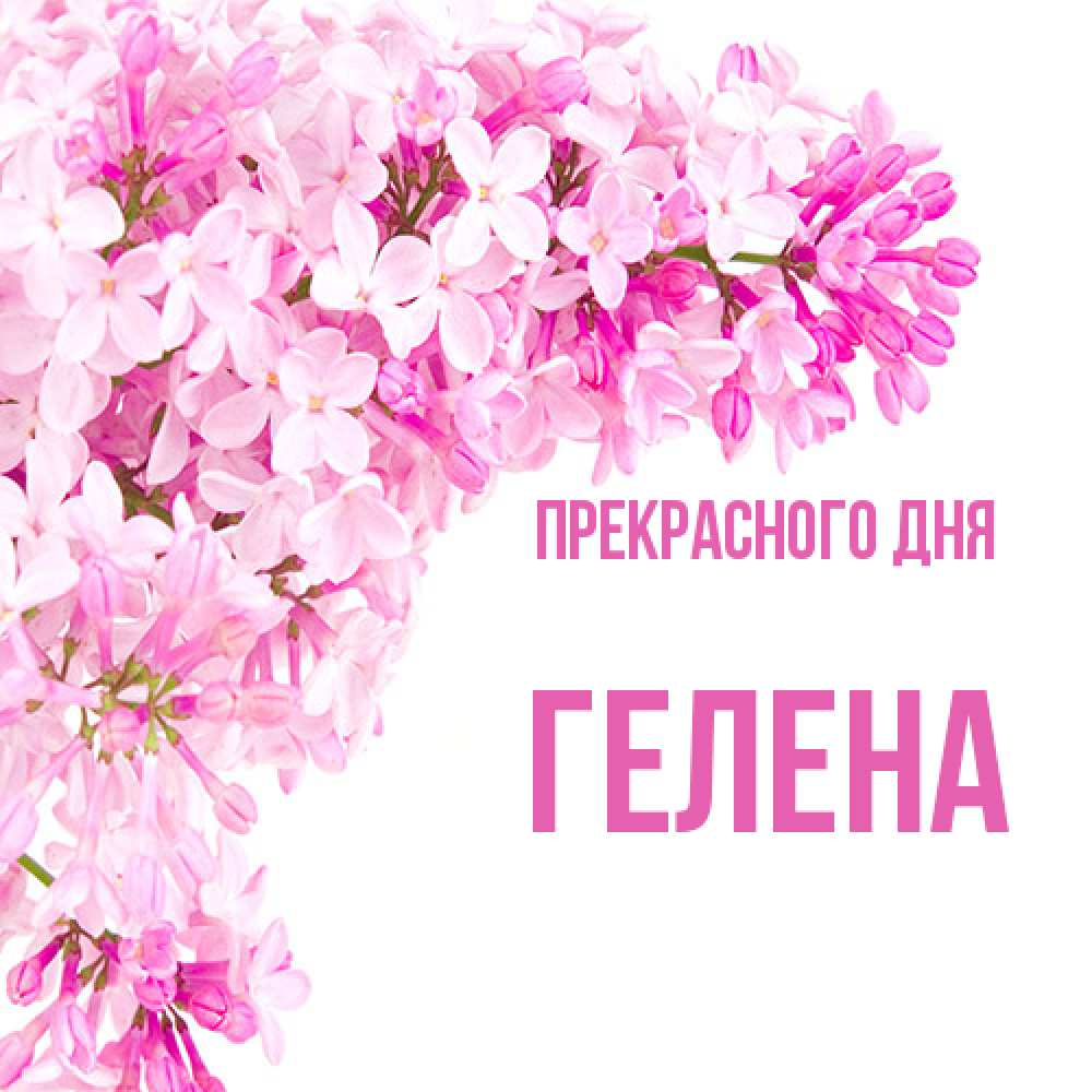 Открытка  с именем. Гелена, Прекрасного дня  